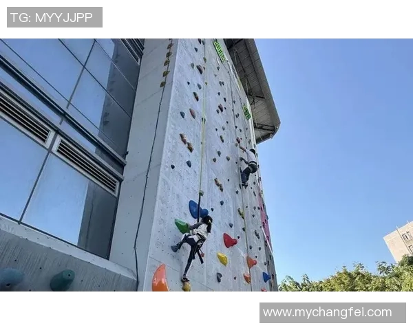 广州攀岩队与杭州攀岩队的团队协作赛后分析与反思