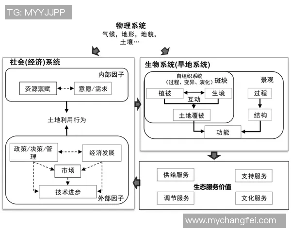 武汉街舞队边路渗透策略分析与表现评估探讨