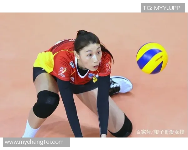 深圳排球队实力不容小觑排球个人能力排行榜揭晓第十名成就